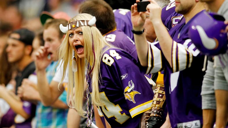 Vikings fan celebrates during a game against the San Francisco 49ers at the Metrodome.