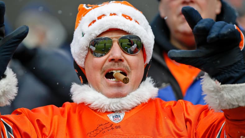 Bears Fan in 2022 at Soldier Field