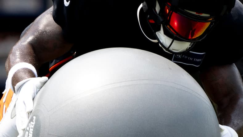 Bengals linebacker Germaine Pratt in 2024