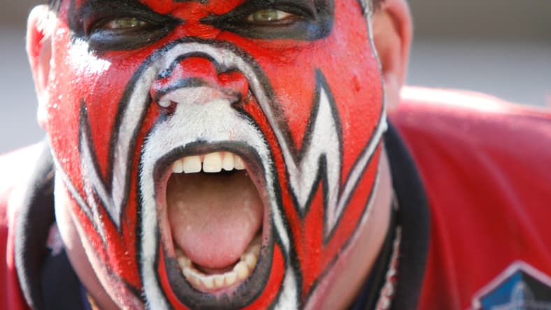Tampa Bay Buccaneers fan in 2025
