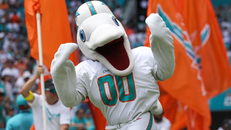 Miami Dolphins mascot in 2025