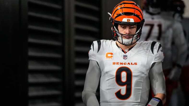 Bengals QB Joe Burrow during the 2024 regular season.