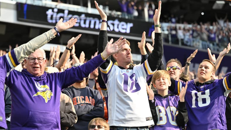 Minnesota Vikings fans in November 2025