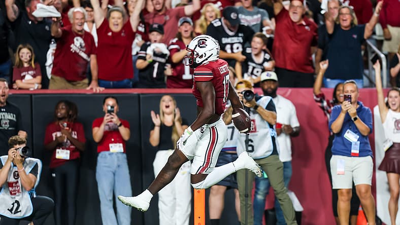 Vikings Need a WR3