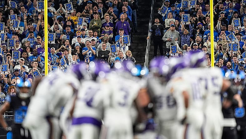 Detroit Lions fans react during a late-season NFC North game against the Minnesota Vikings at Ford Field.