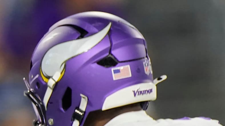 Vikings WR Myles Price in the preseason of 2025.