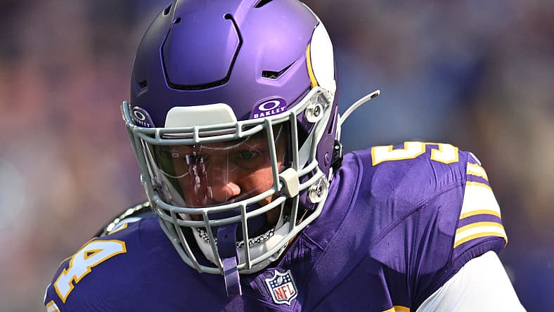 Vikings LB Kamu Grugier-Hill in 2024