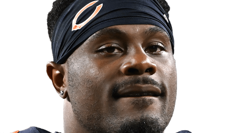 Vikings Will See 7 Old Friends on Bears Roster