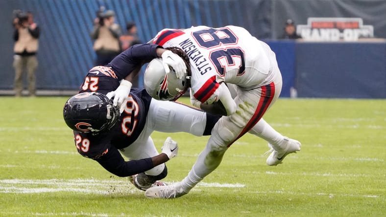 bears