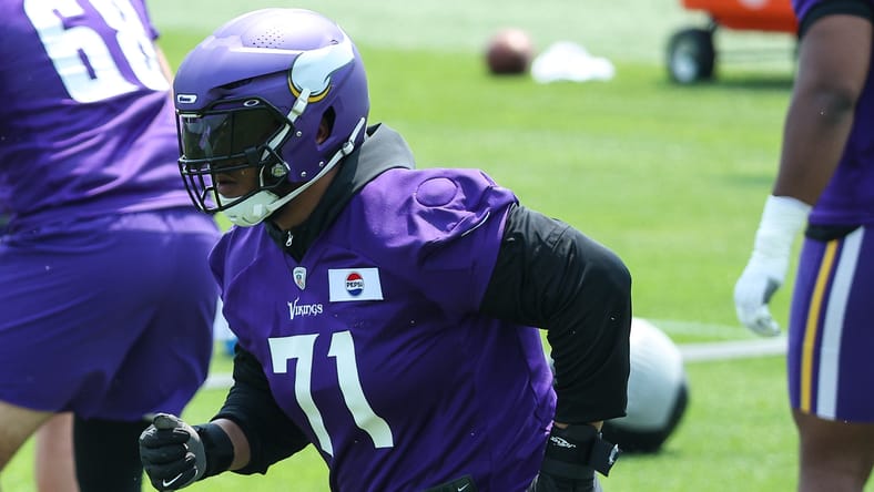 vikings minicamp