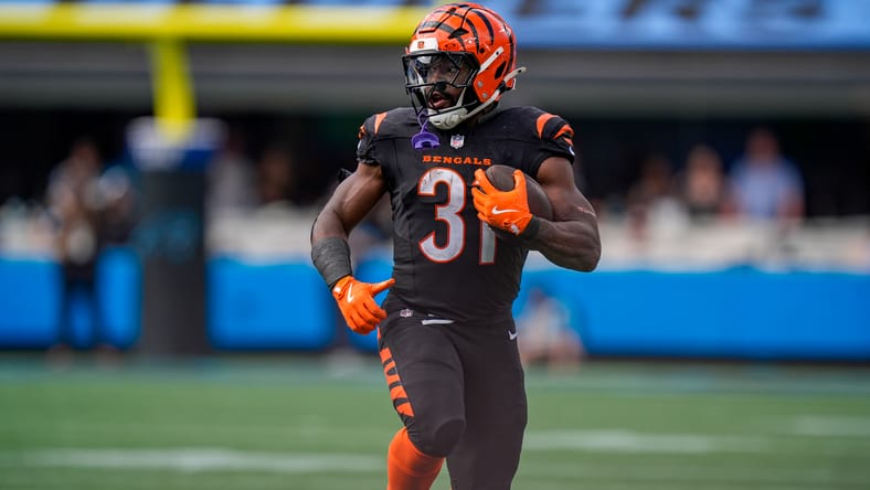 Just Released RB Might Be Vikings Missing Piece