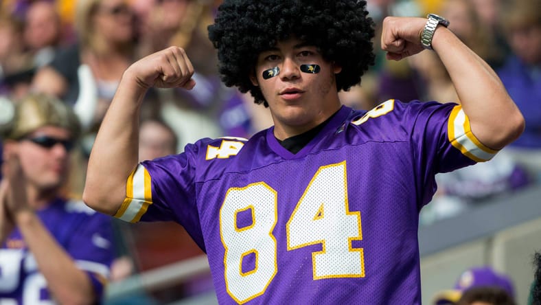 Vikings fan in a Randy Moss jersey in 2017.