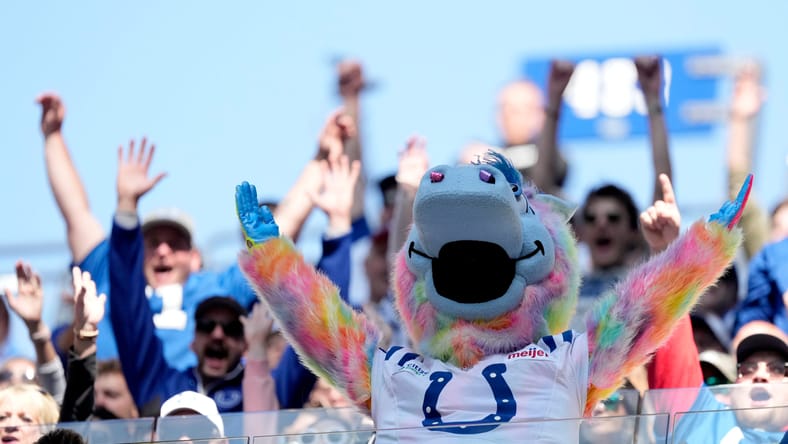 Colts Mascot in 2022