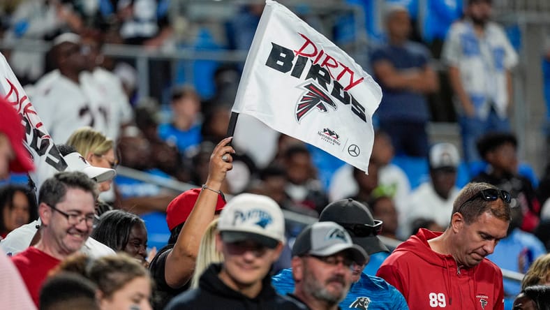 Falcons fans in 2024