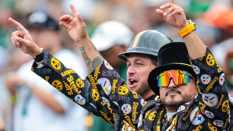 Steelers fans in 2025