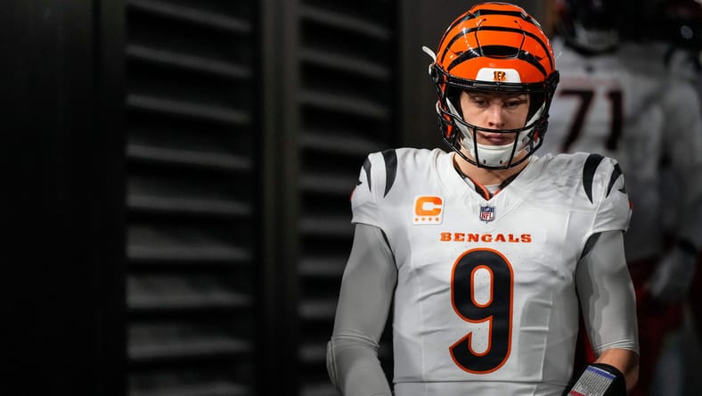 Bengals QB Joe Burrow during the 2024 regular season.