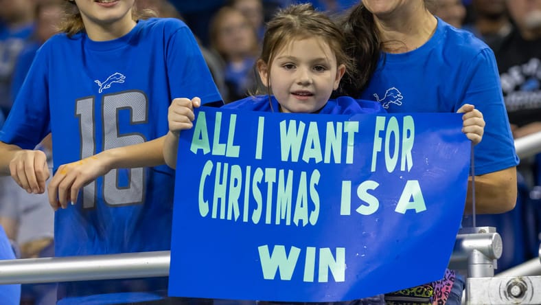 A Lions Fan in 2022