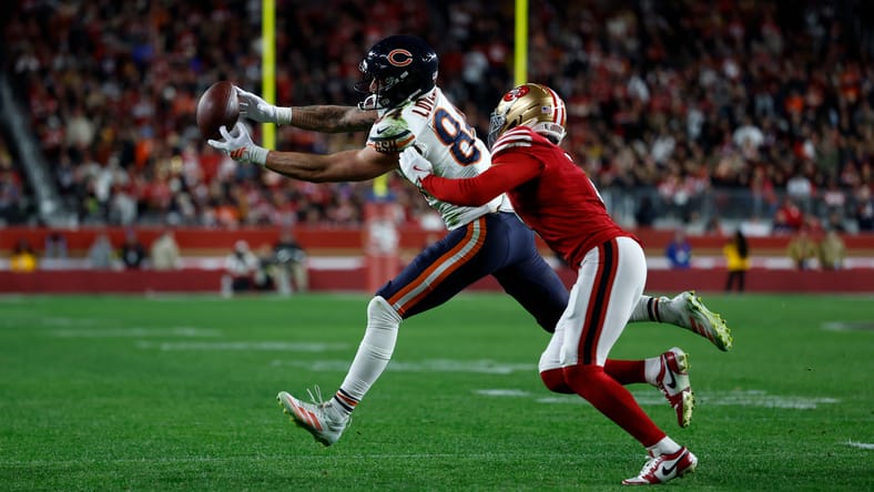 NFC North Week 17 takeaway