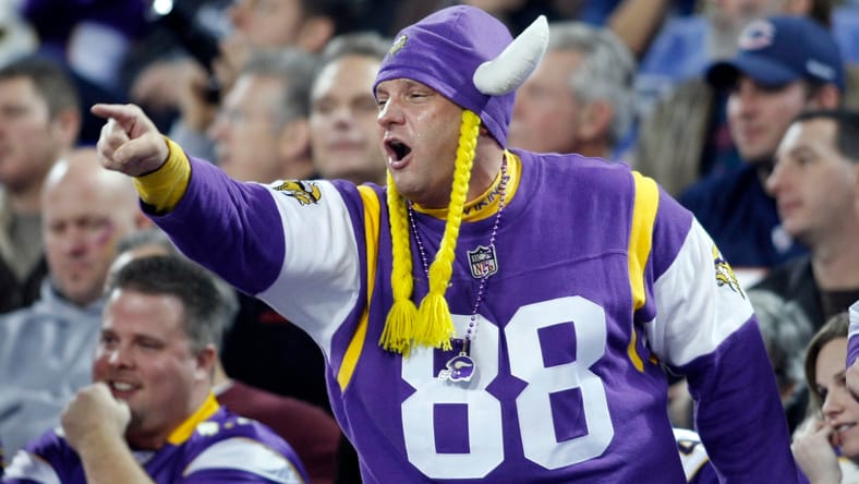 Vikings fan in 2009