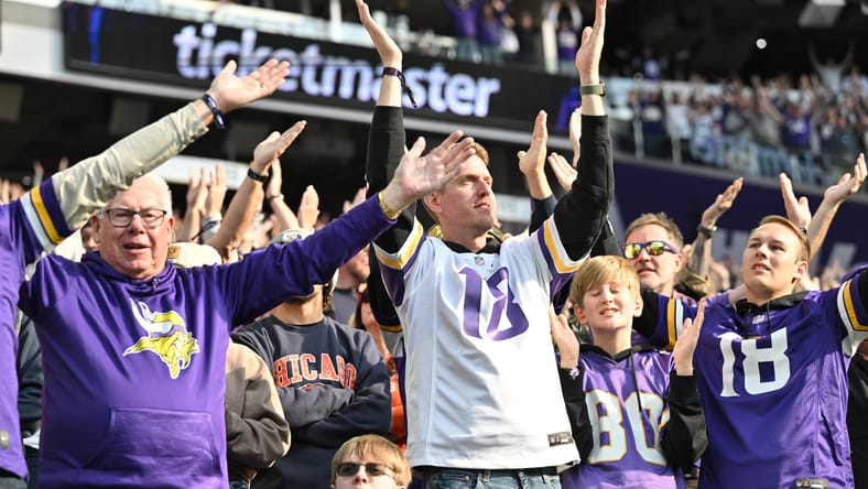 Minnesota Vikings fans in November 2025