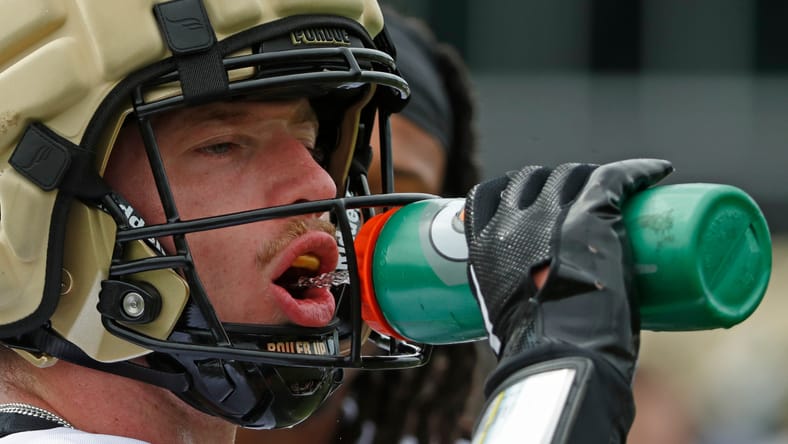 Purdue safety Dillon Thieneman in 2024