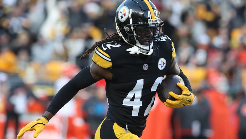 James Pierre reacts after intercepting a pass during Steelers vs. Browns game at Acrisure Stadium. James Pierre Vikings