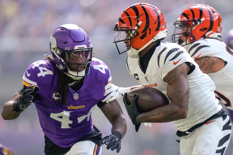 Vikings Safety Josh Metellus