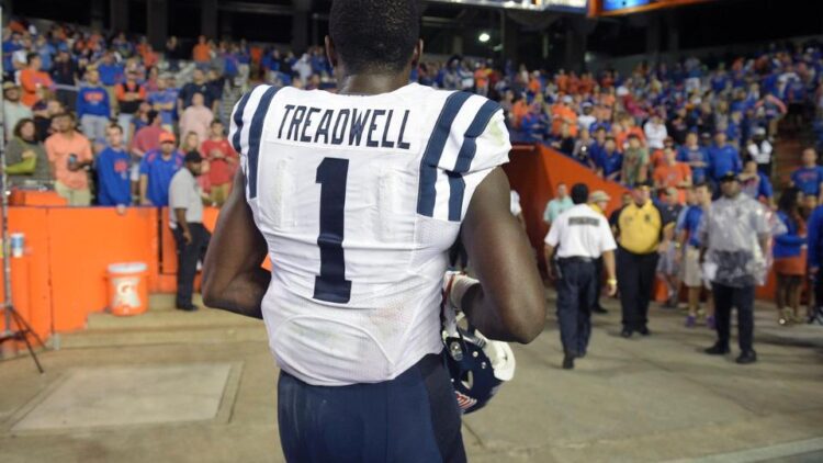 Treadwell's speculated "fall"