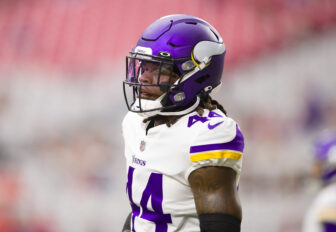 Vikings Building a New Safety Group