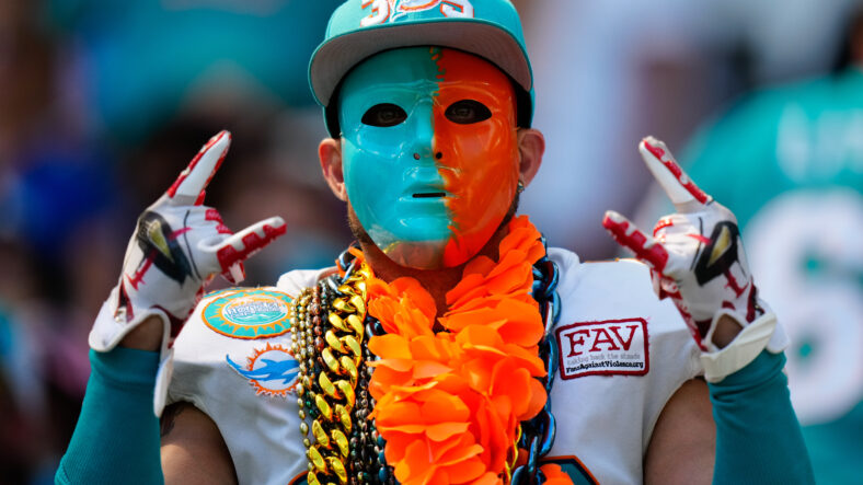 20 Brief & Essential Facts: Dolphins-Vikings