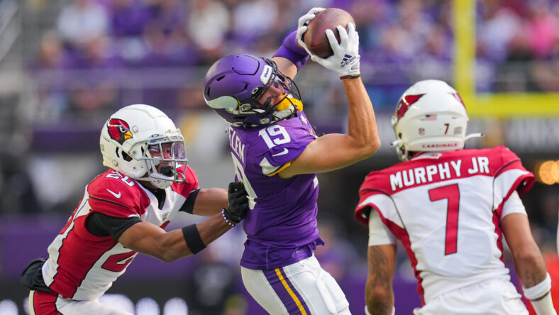 Minnesota Vikings wide receiver Adam Thielen (19) catches the pass