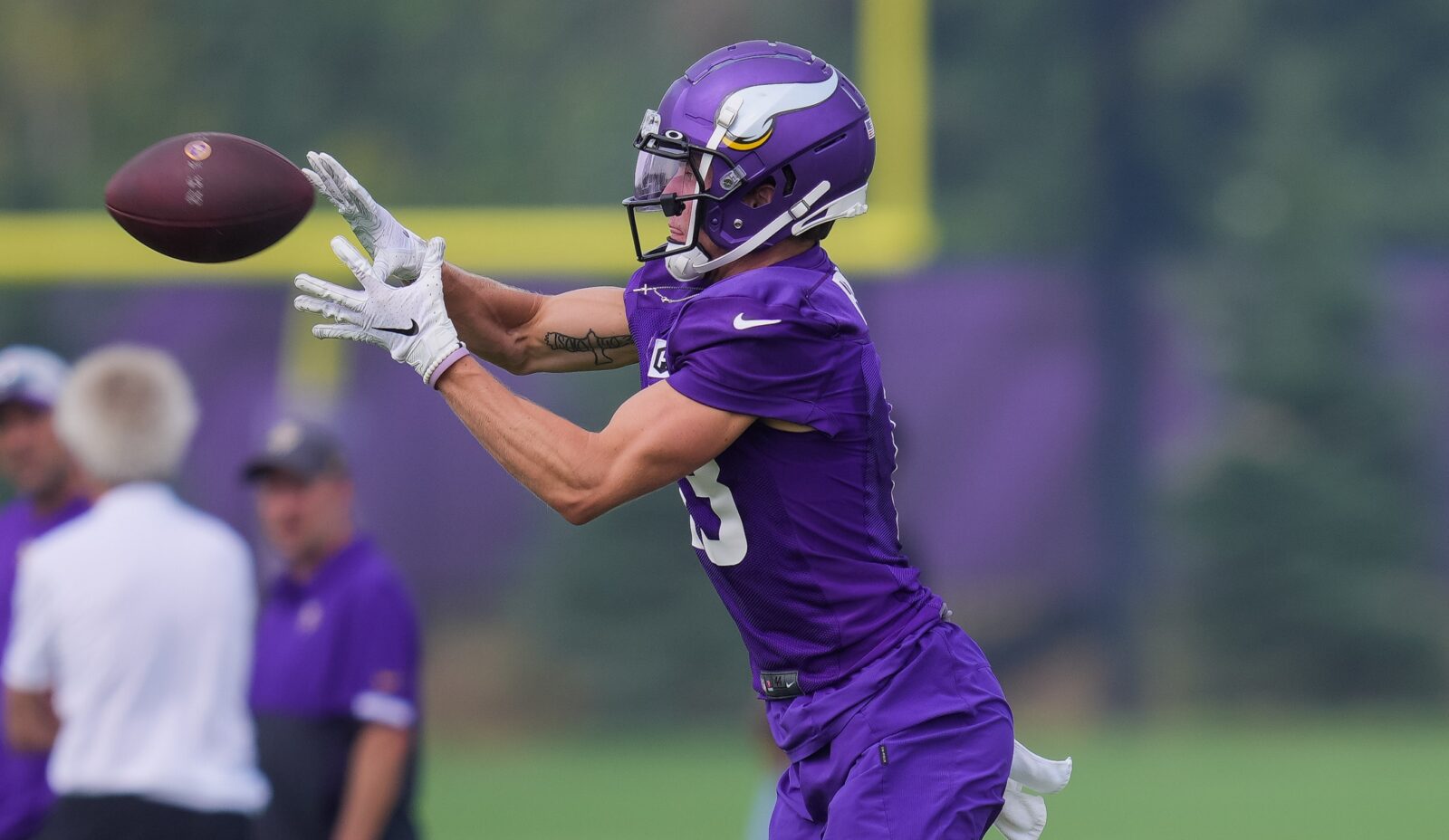 Did You Know Vikings Receiver Blake Proehl Is Also A Musician?