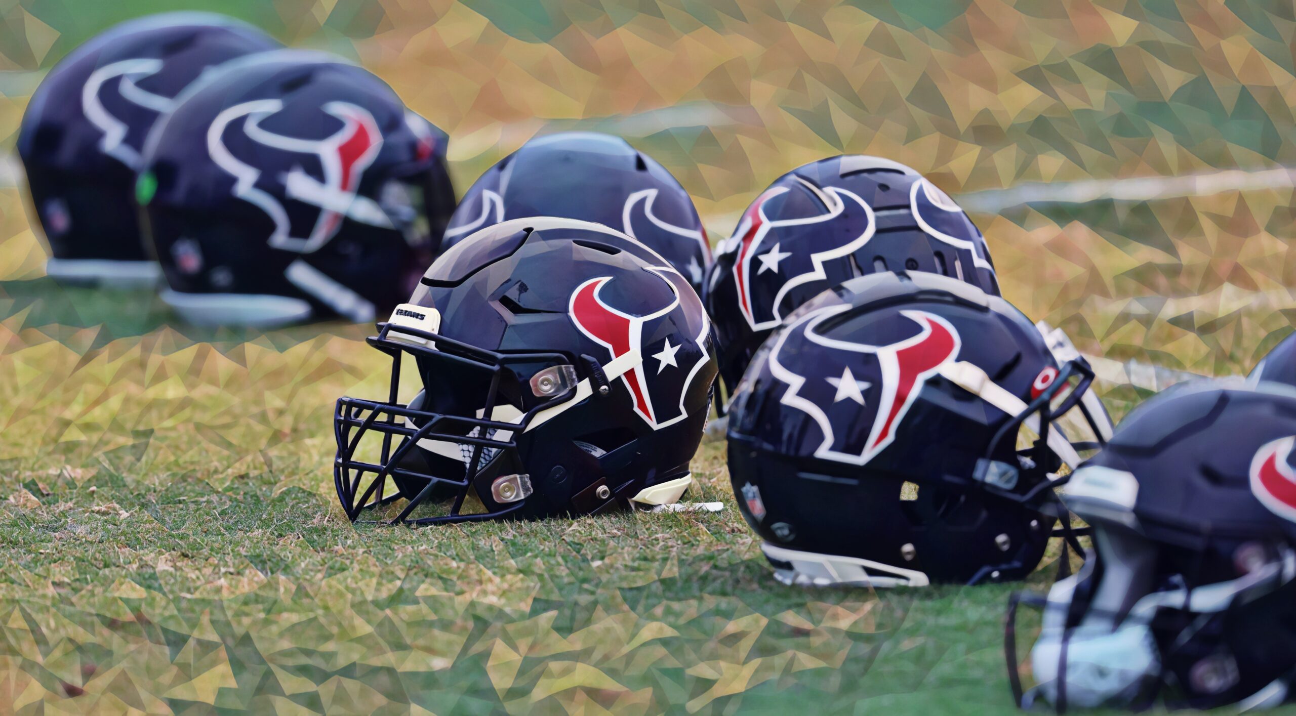 houston texans helmet