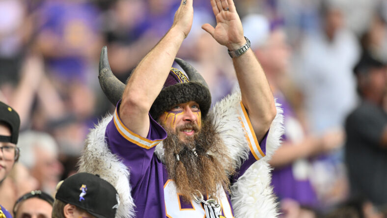 Vikings Fans Could Take