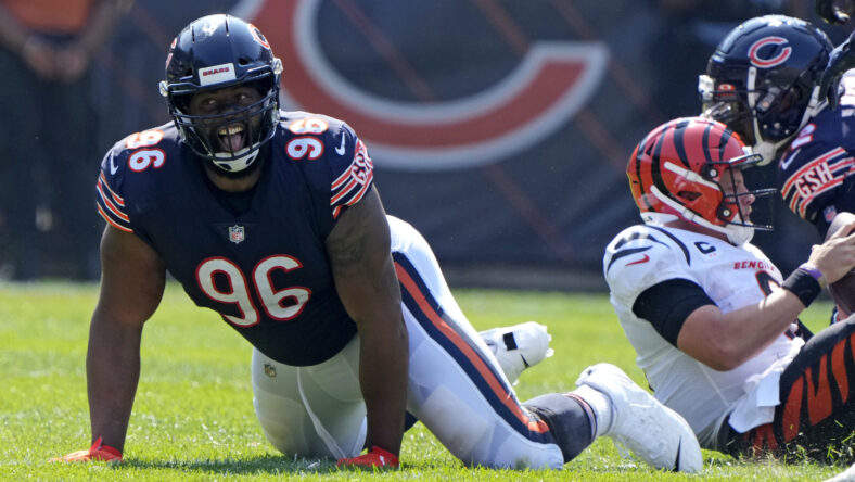 Vikings Fans Want Ex-Bears DE Akiem Hicks ASAP