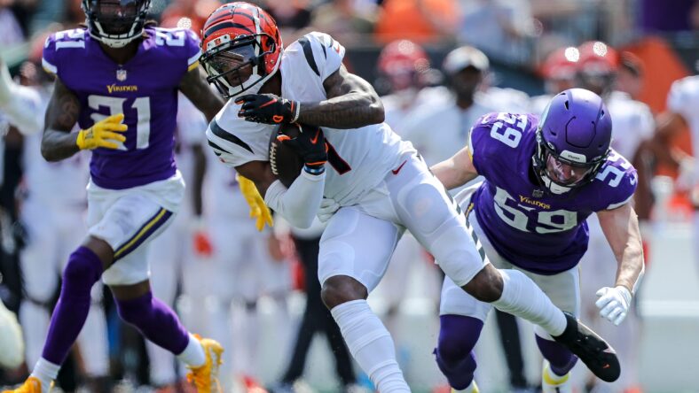 minnesota vikings cincinnati bengals