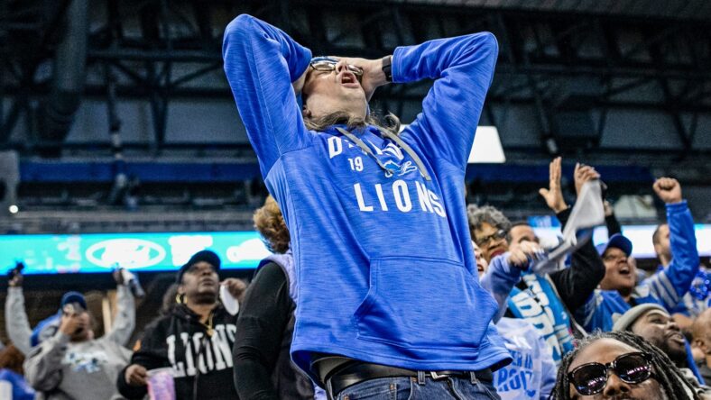 Lions Lost
