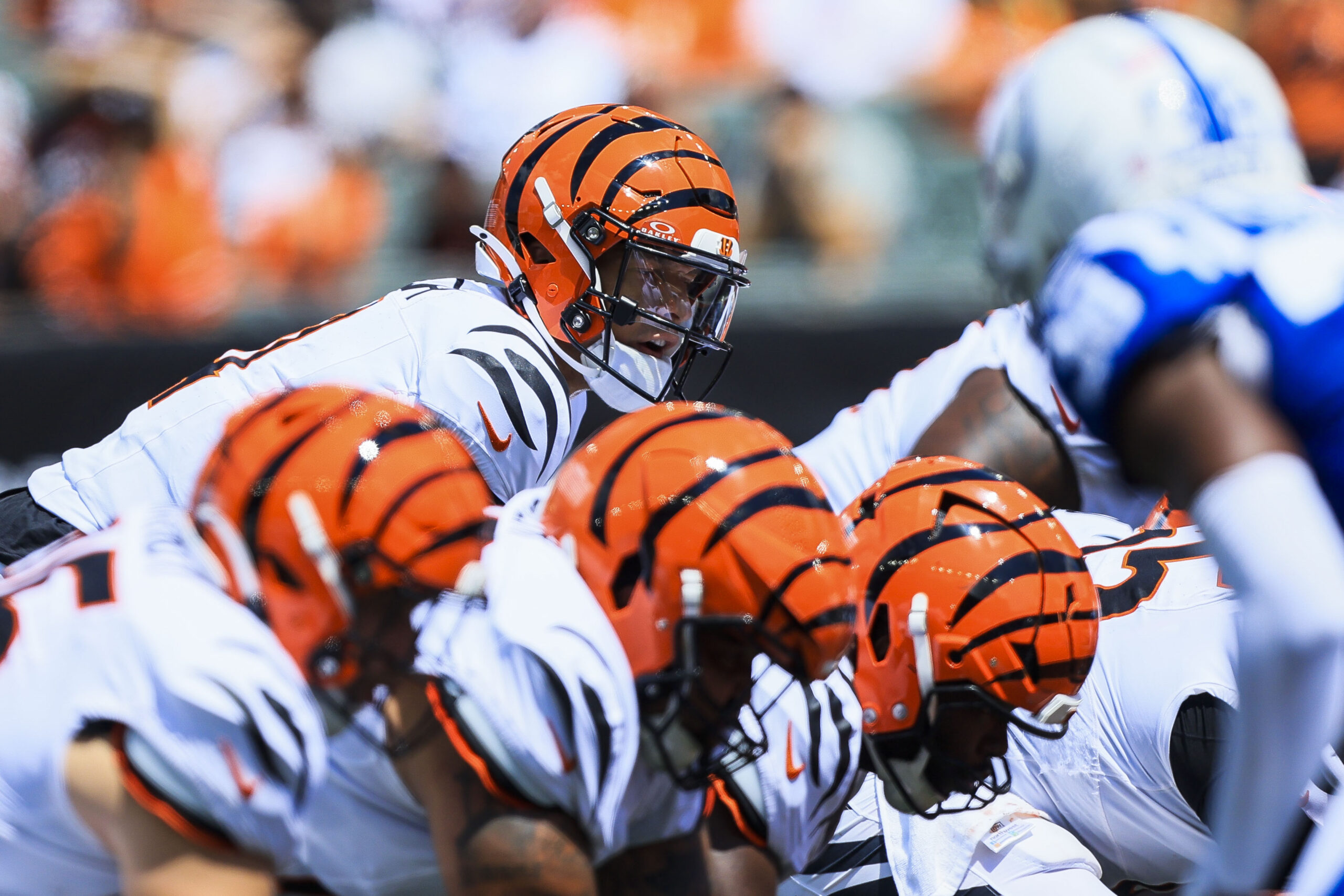 Vikings Steal QB from Bengals Roser